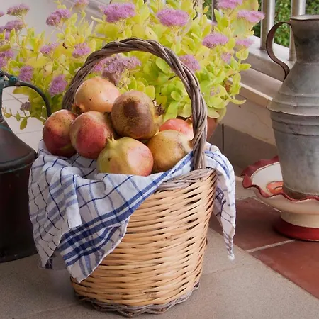 B&B Casa Mastronardi 카스텔라나그로테