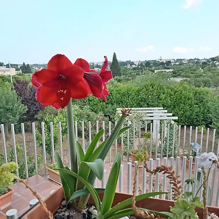 Frühstückspension Casa Mastronardi 4*